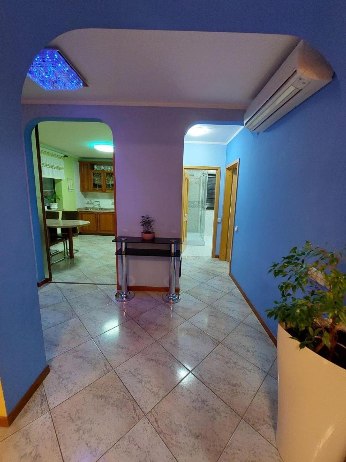 Apartma Mimi Dekani Buitenkant foto